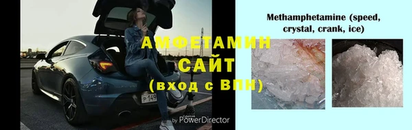 ПСИЛОЦИБИНОВЫЕ ГРИБЫ Осинники
