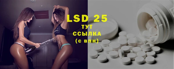 ПСИЛОЦИБИНОВЫЕ ГРИБЫ Осинники