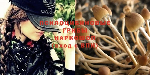 стаф Остров
