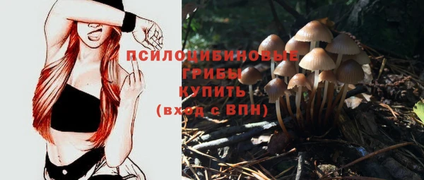 стаф Остров