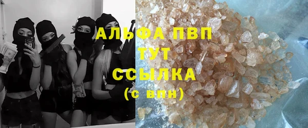 ПСИЛОЦИБИНОВЫЕ ГРИБЫ Осинники
