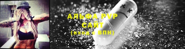 ПСИЛОЦИБИНОВЫЕ ГРИБЫ Осинники