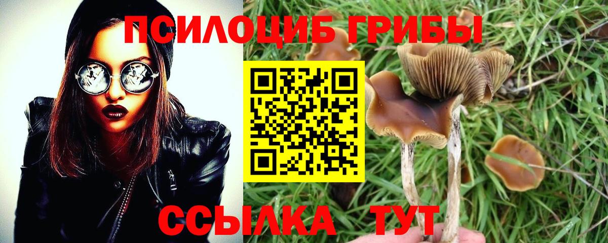 Псилоцибиновые грибы Magic Shrooms Ейск