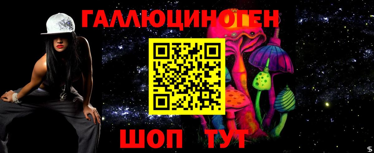 Ейск  Галлюциногенные грибы GOLDEN TEACHER  Вход с VPN 